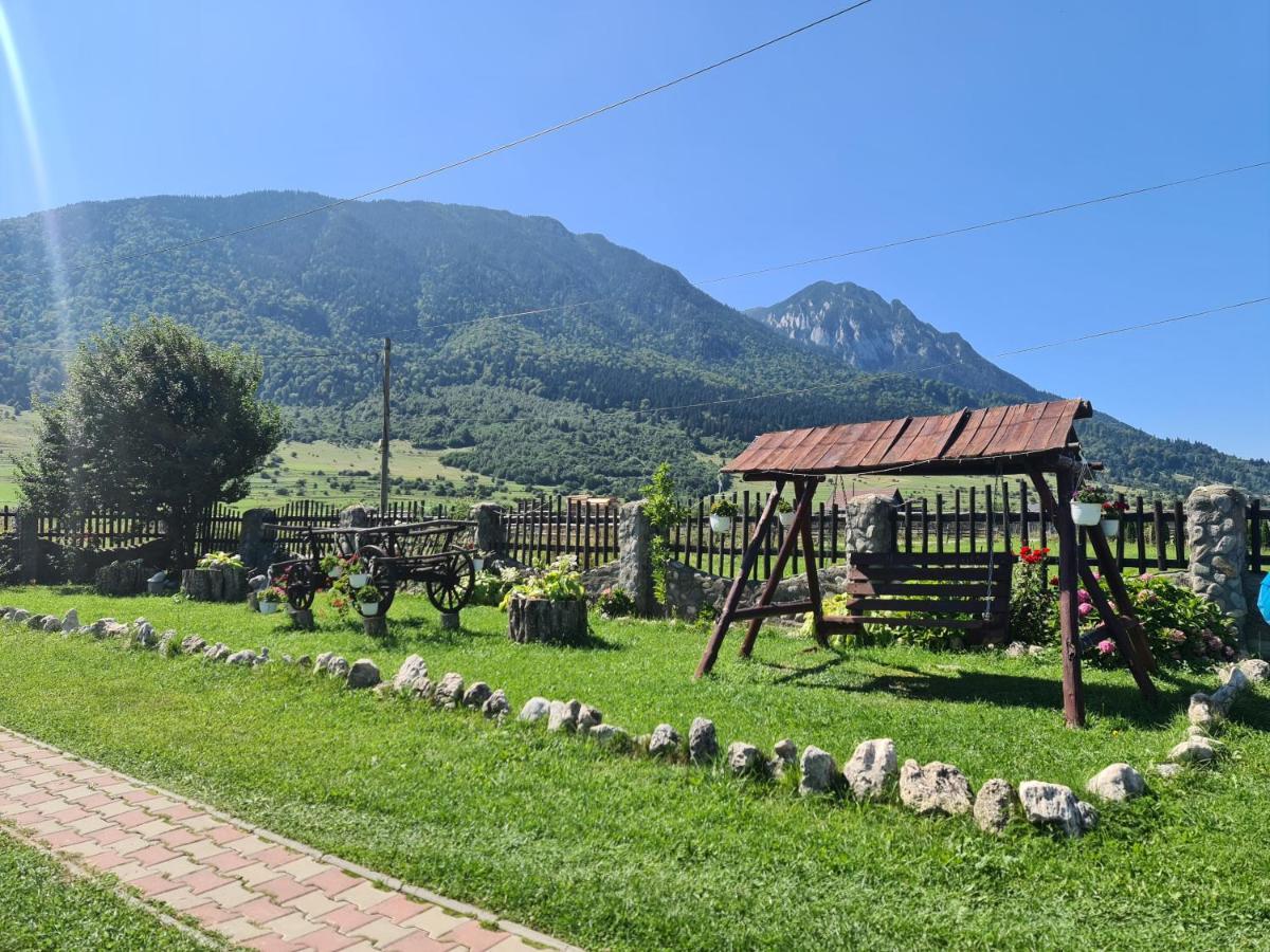 Maricom Home Zărneşti Exterior foto